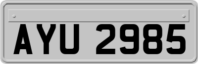 AYU2985