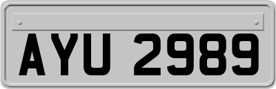 AYU2989