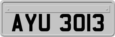 AYU3013