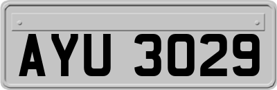 AYU3029