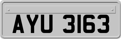 AYU3163