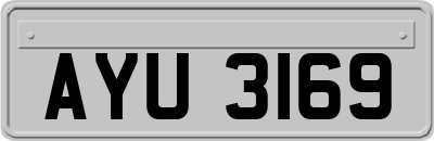 AYU3169