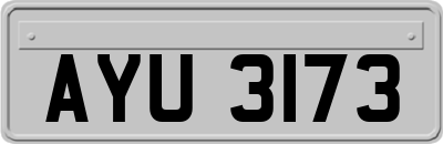AYU3173