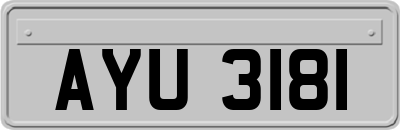 AYU3181