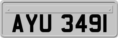 AYU3491