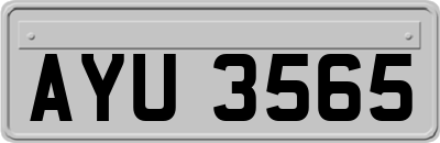AYU3565