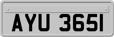 AYU3651