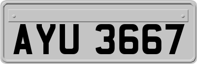 AYU3667