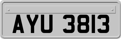 AYU3813