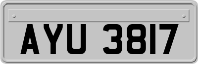 AYU3817
