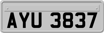 AYU3837