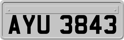 AYU3843