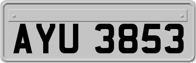 AYU3853