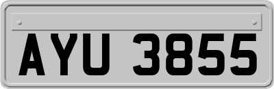 AYU3855
