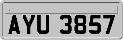 AYU3857