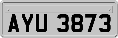 AYU3873