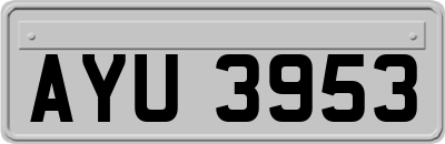 AYU3953