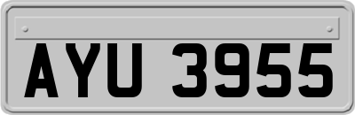 AYU3955