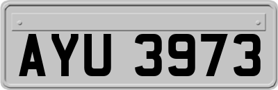 AYU3973
