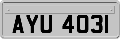 AYU4031