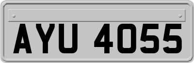 AYU4055
