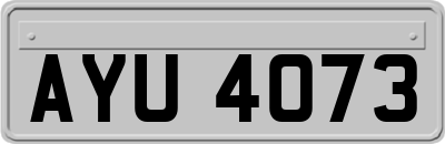 AYU4073
