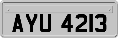 AYU4213