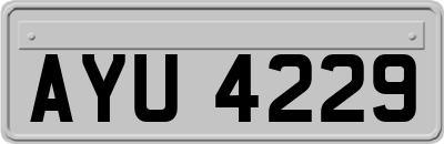 AYU4229