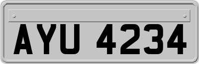 AYU4234