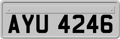 AYU4246