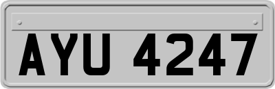 AYU4247
