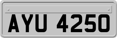 AYU4250