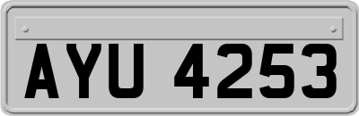 AYU4253
