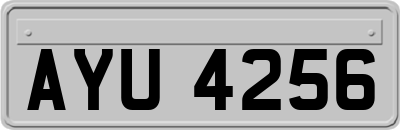 AYU4256
