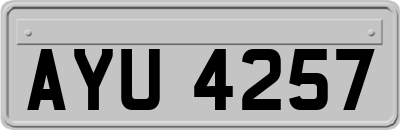 AYU4257
