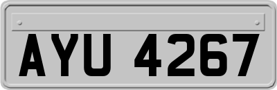 AYU4267