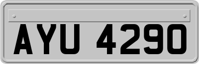 AYU4290