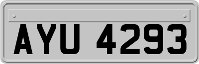 AYU4293