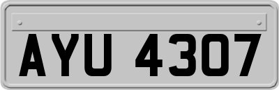 AYU4307