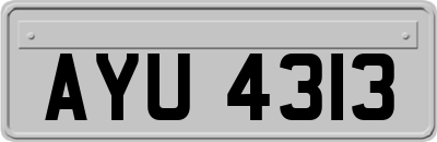 AYU4313