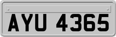AYU4365