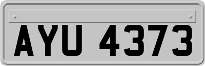 AYU4373