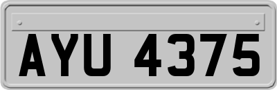 AYU4375