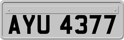 AYU4377