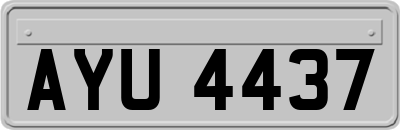AYU4437