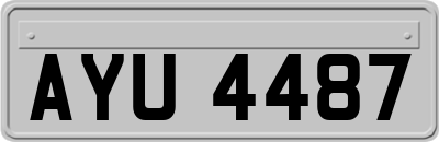 AYU4487