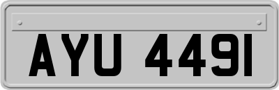 AYU4491