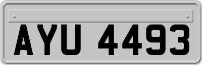 AYU4493