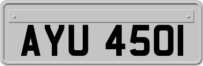 AYU4501