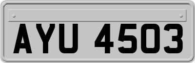 AYU4503